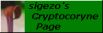 [sigezo's Cryptocoryne Page]